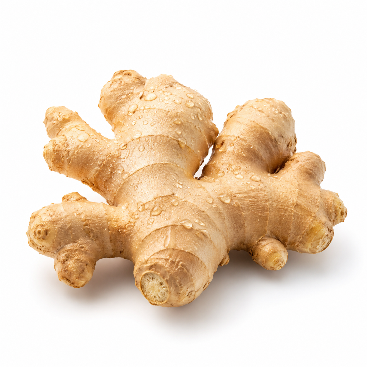 Ginger root on a white background