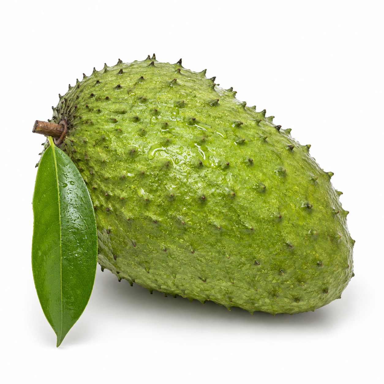 Green soursop fruit with a leaf on a white background